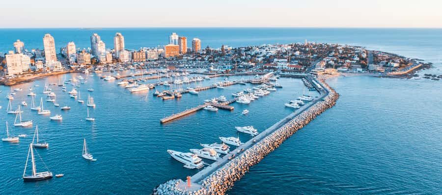 Private - Punta del Este City Tour for Cruisers - Serena Bridge: crossing a modern arch with a history lesson