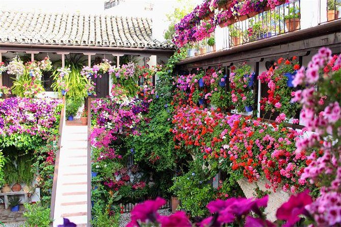 Private tourist route in Córdoba - The Mezquita-Cathedral Area: Your Anchor Stop in Córdoba