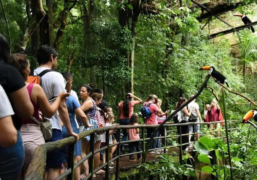 Puerto Iguazu: Iguaza Falls Brazilian Side & Bird Park Tour - Brazil’s Iguazú Falls: Panoramic Views and Where the Time Goes