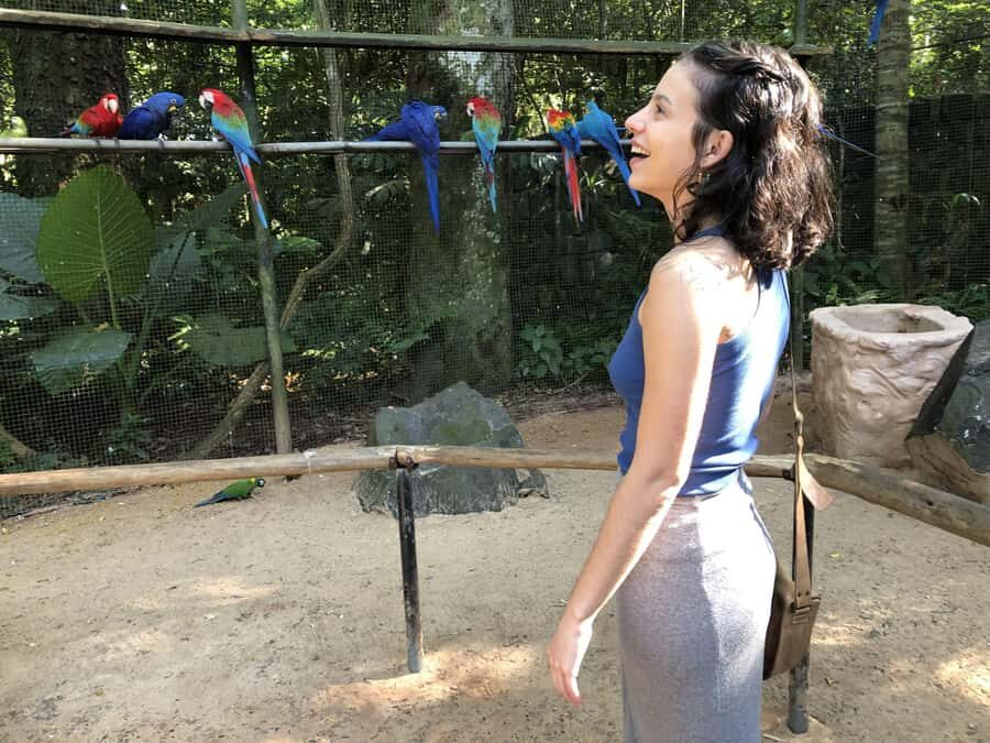 Puerto Iguazú: Tour to Brazilian Iguazú Falls with Bird Park - Bird Park: where the wildlife feels built into the walk