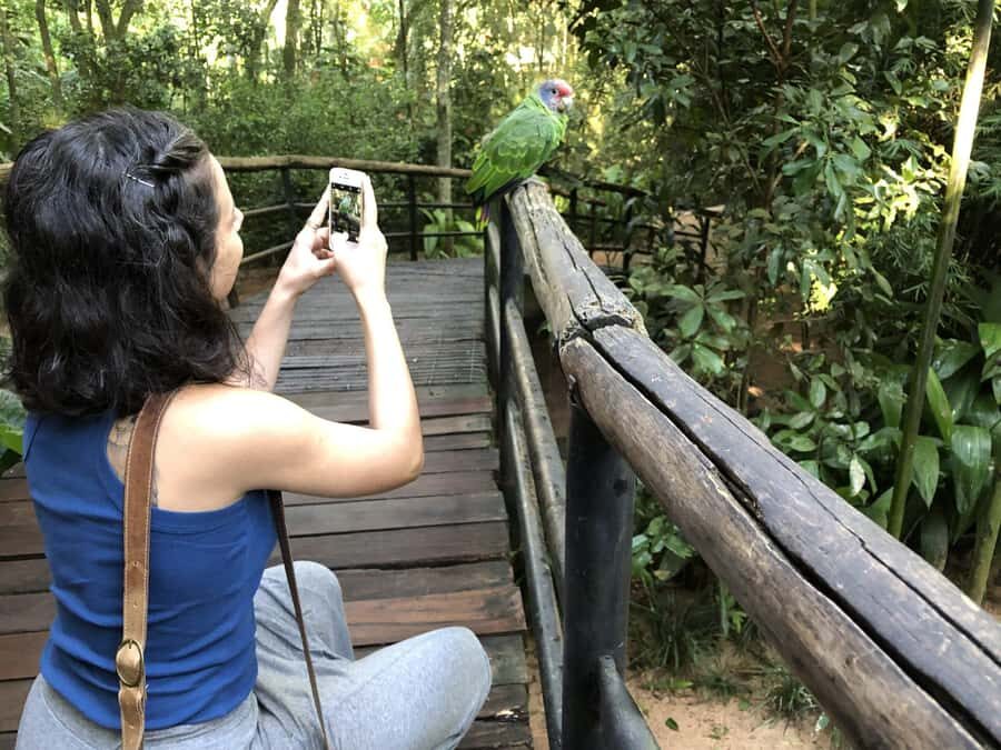 Puerto Iguazú: Tour to Brazilian Iguazú Falls with Bird Park - Small group promise vs the bus reality: how to protect your day