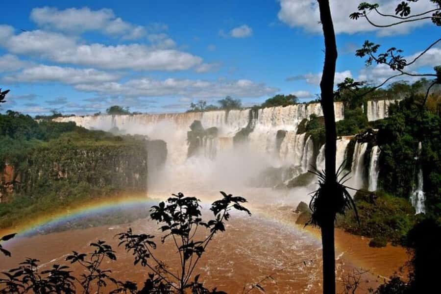 Puerto Iguazú: Tour to Brazilian Iguazú Falls with Bird Park - Getting from Puerto Iguazú to the falls (and staying sane)