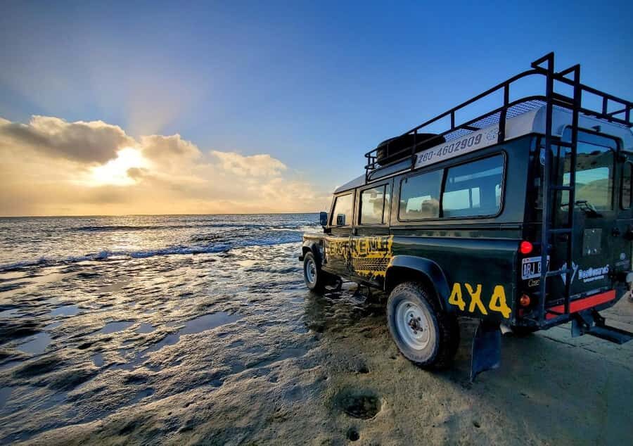 PUERTO MADRYN: 4 X 4 ADVENTURE EXPERIENCE ON THE MOST BEAUTIFUL BEACHES! - Punta Loma Reserve Proper: Flora Trail Walk and Sea Lions