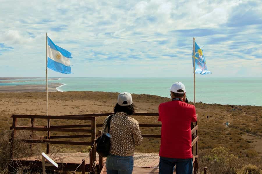 Puerto Madryn: Full Day Peninsula Valdes Experience Tour - The van rides: where timing, comfort, and road conditions matter