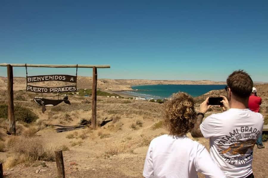 Puerto Madryn: Full Day Peninsula Valdes Experience Tour - Caleta Valdés reserve: elephant seals at the inlet