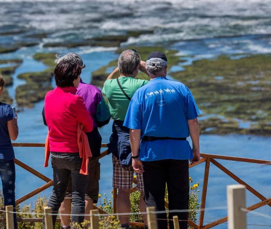 Puerto Madryn: Full Day Peninsula Valdes Experience Tour - Price and value: is $120 fair for this day?