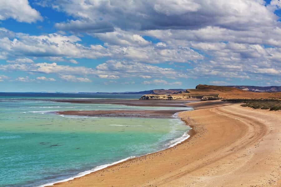 Puerto Madryn: Península Valdes with optional Whale Watching - Península Valdés in one long day from Puerto Madryn