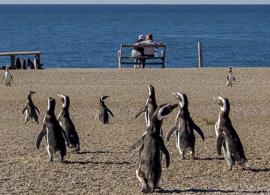Puerto Madryn: Península Valdes with optional Whale Watching - Puerto Pirámides: whale hub, photo time, and a real town moment