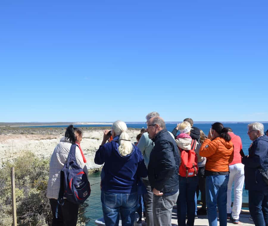 Puerto Madryn: Punta Loma Shore Excursion - Puerto Madryn highlights with real coastal stops