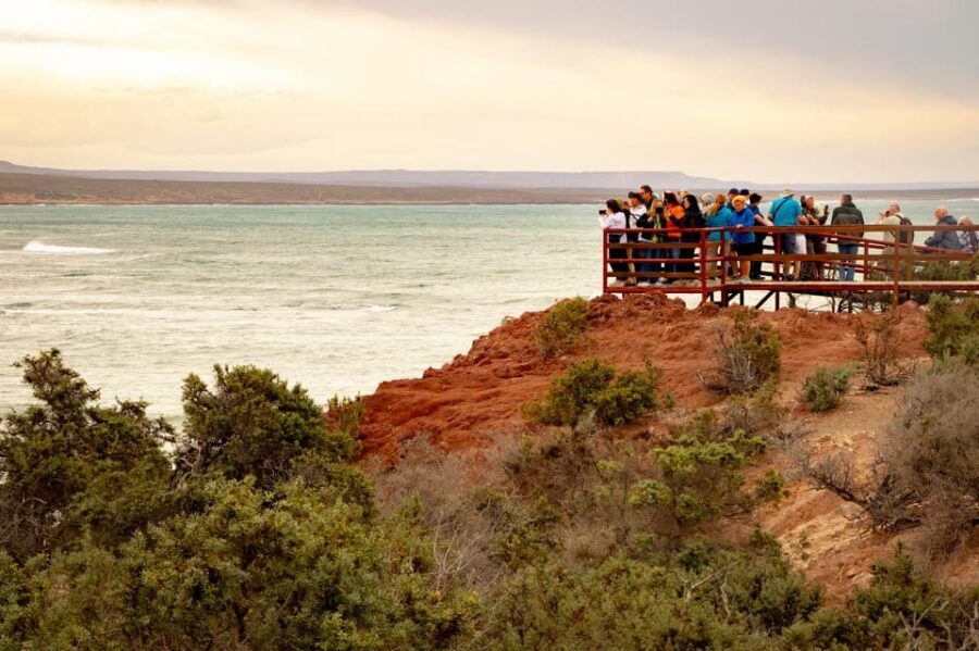 Puerto Madryn: Punta Tombo Walking Among Penguins Experience - Guided time at Punta Tombo: the 2.5-hour sweet spot