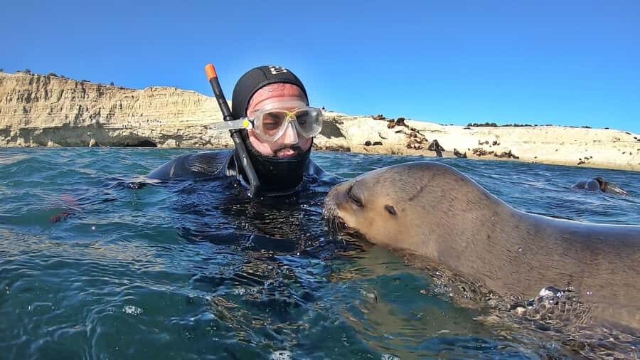 Puerto Madryn: Snorkeling Trip with Sea Lions - Key highlights you’ll remember
