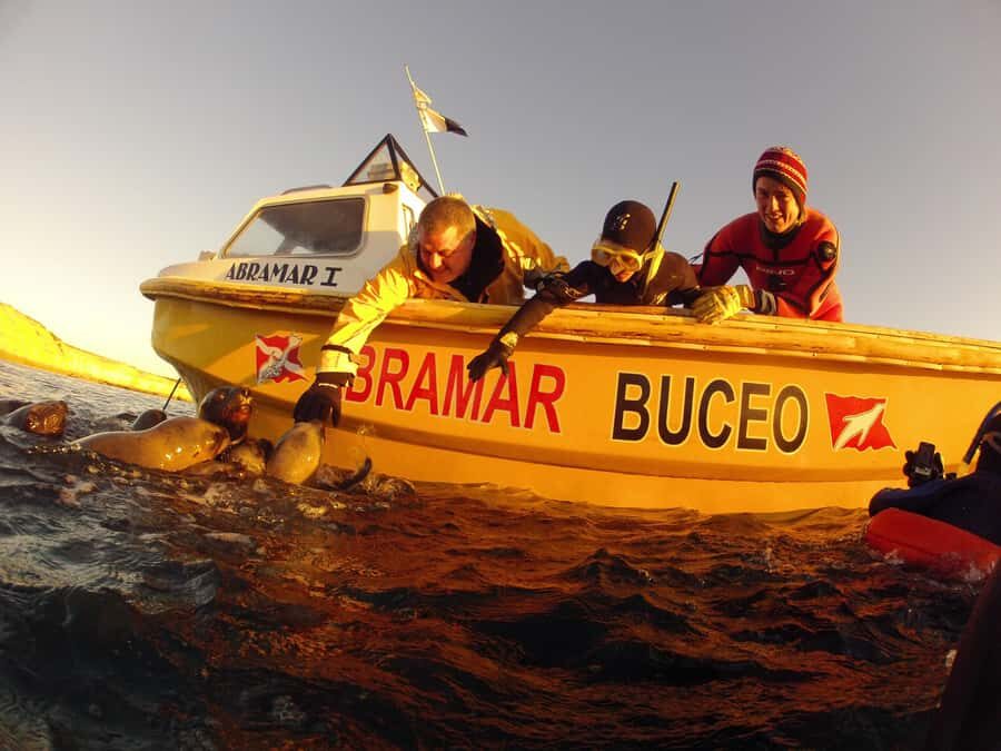 PUERTO MADRYN , SNORKELING WITH SEA LIONS - Gear, comfort, and how the crew keeps it safe