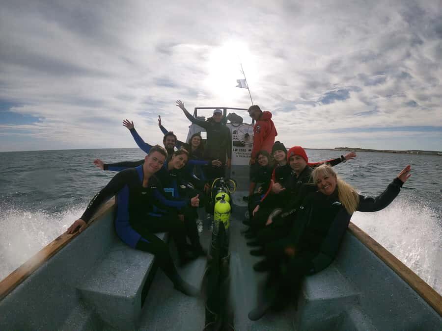 PUERTO MADRYN , SNORKELING WITH SEA LIONS - How interactive are the sea lions?