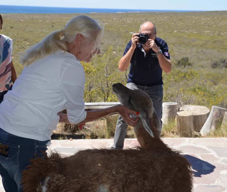 Punta Loma + Ranch Shore Excursion for cruise passengers - Punta Loma and San Guillermo in 4 Hours: What You’re Really Buying