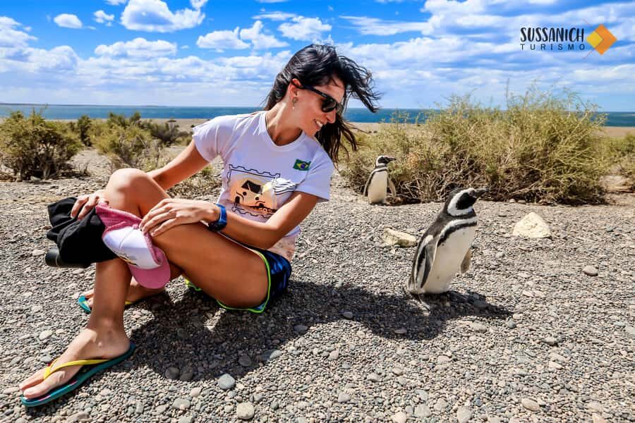 Punta Tombo Shore Excursion for Cruise Passengers + City - The Cruise-Friendly Return: Enough Time Back to Your Ship