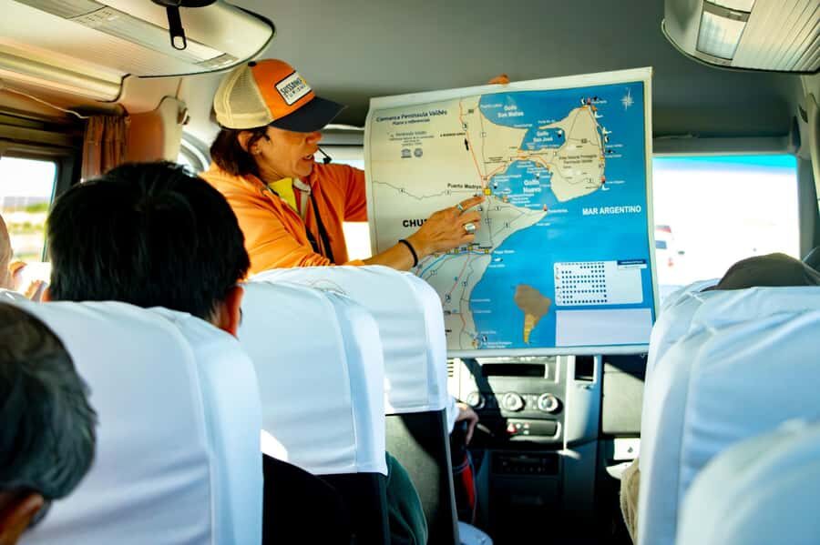 Punta Tombo Shore Excursion for Cruise Passengers + City - Price and Value: What $105 Really Buys You