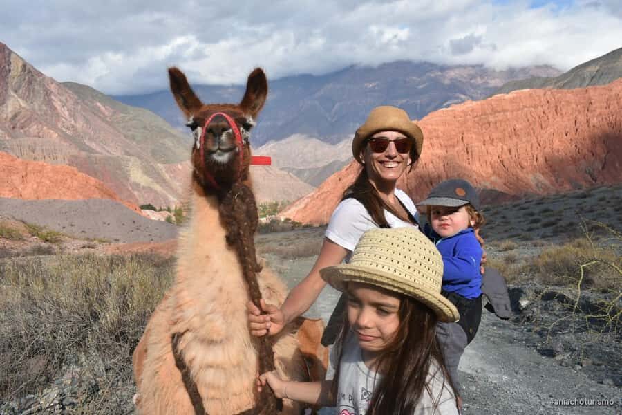 Purmamarca: Hiking with Llamas through multicolored mountains - Key highlights you’ll care about
