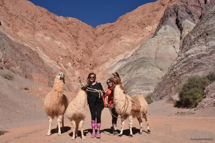 Purmamarca: Hiking with Llamas through multicolored mountains - Should You Book This Purmamarca Llama Hike?