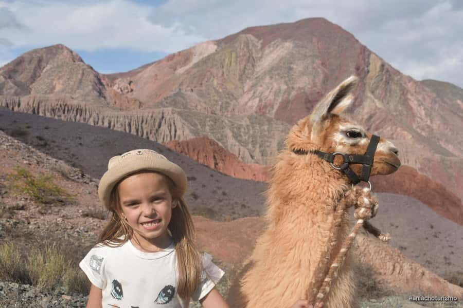 Purmamarca: Hiking with Llamas through multicolored mountains - Getting Started: Meeting Llamas Near Purmamarca’s Main Square