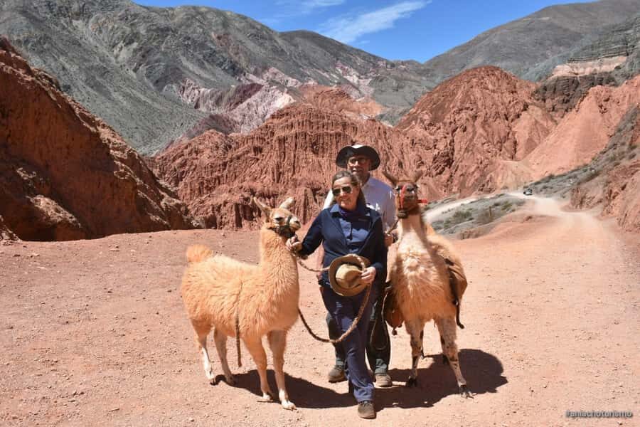 Purmamarca: Hiking with Llamas through multicolored mountains - What to Bring (And What to Skip) for This 2-Hour Hike