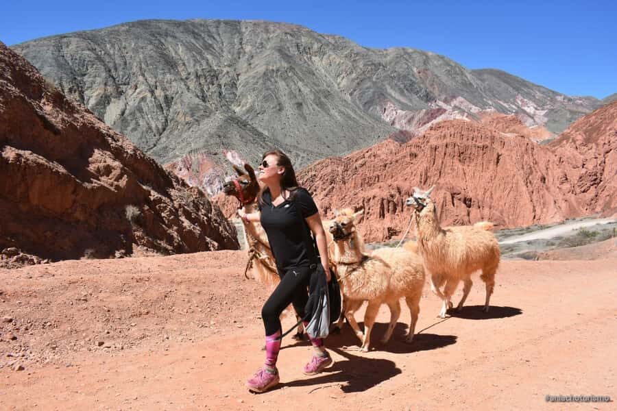 Purmamarca: Hiking with Llamas through multicolored mountains - Who This Llama Hike Fits Best (And Who Might Reconsider)