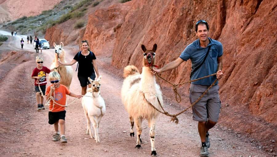 Purmamarca: Hiking with Llamas through multicolored mountains - Price and Value: What You’re Really Paying For