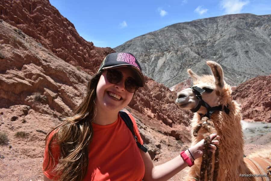 Purmamarca: Hiking with Llamas through multicolored mountains - Hands-On Rules: How the Walk Works (Without Riding)