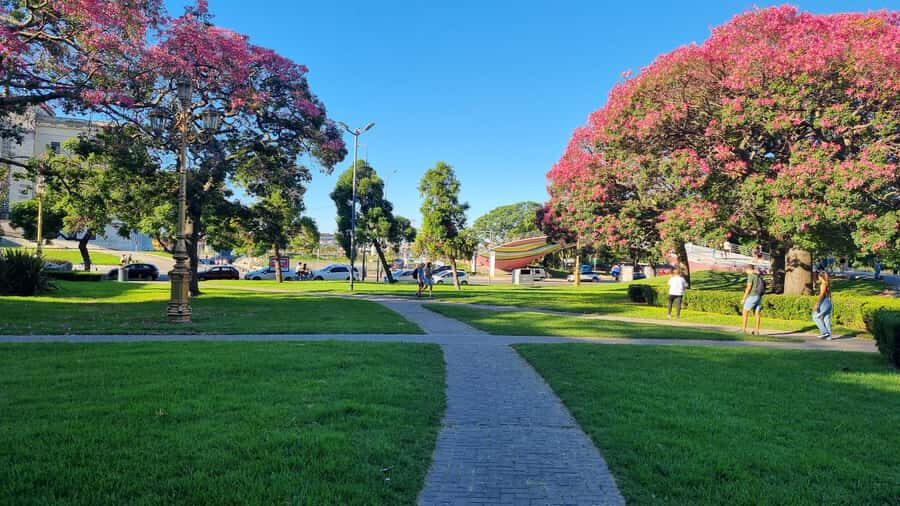 Recoleta Walking Tour and Live Jazz Show - Museo Nacional de Bellas Artes meeting point: arrive ready to walk