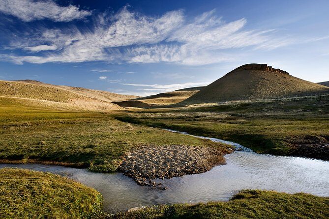 SAFARI EXPERIENCE - WILDLIFE & STEPPE - Wildlife Watching and Steppe Flora: How You Find Life in Big Open Air