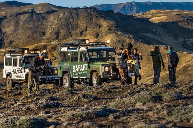 Safari Experience - Wildlife & Steppe - Price and value: is $175 per person a fair deal?