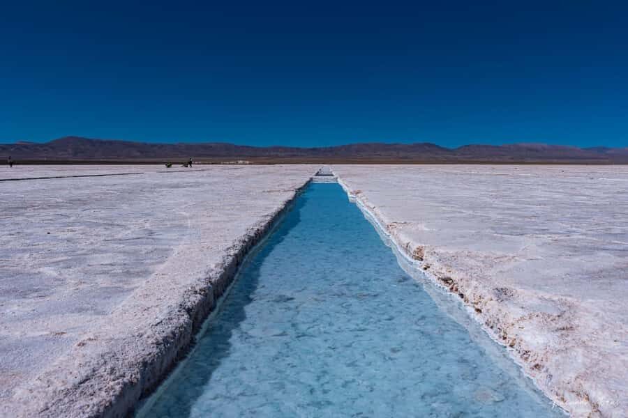 Salta: Cafayate, Cachi, and Salinas Grandes Guided Day Trips - Key highlights