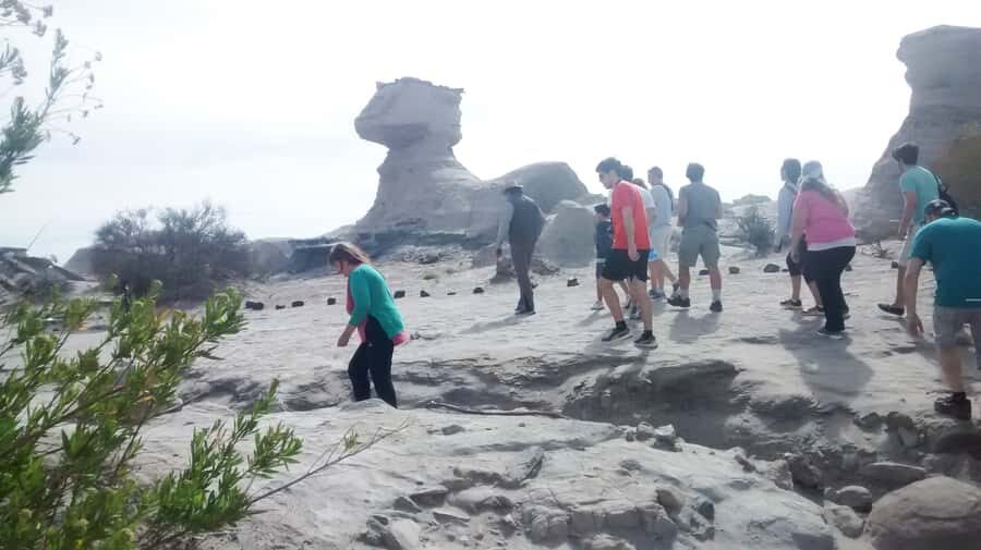 San Juan: Ischigualasto National Park - Moon Valley - Guide quality: Daniel and Cristian Ruiz as proof of the difference