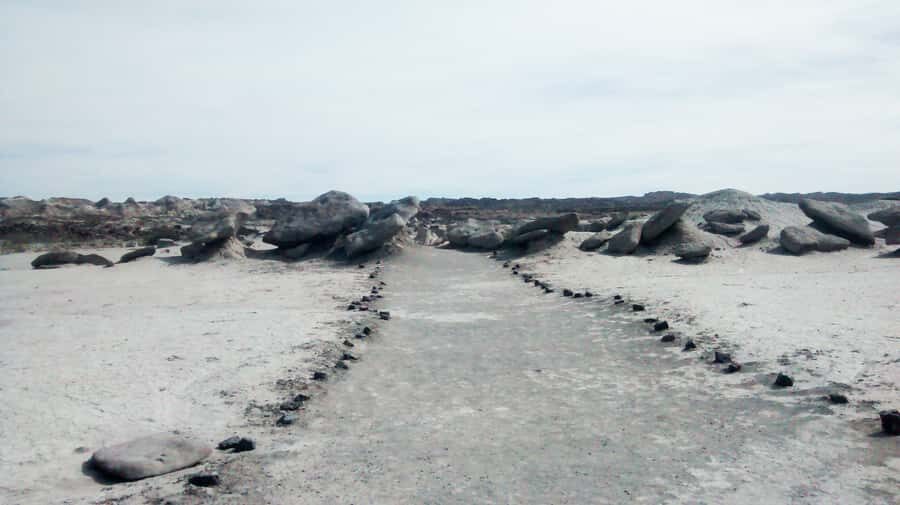 San Juan: Ischigualasto National Park - Moon Valley - Who should book this Ischigualasto Moon Valley day trip