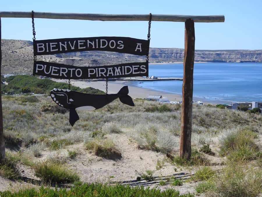 Shore Tours Peninsula Valdes Puerto Madryn Cruise Passengers - Key takeaways before you go