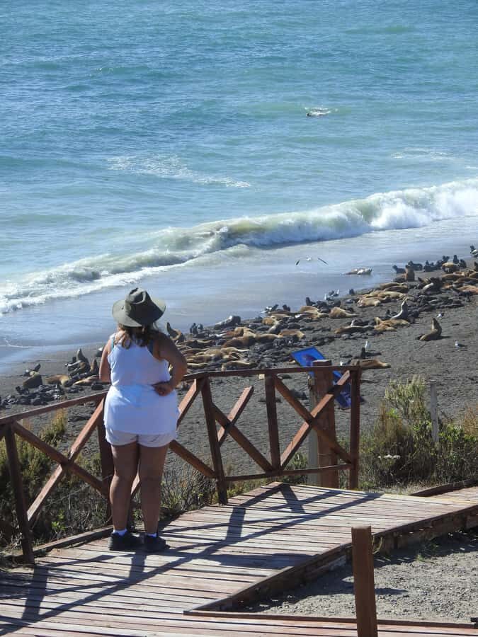 Shore Tours Peninsula Valdes Puerto Madryn Cruise Passengers - Stop-by-stop: what each part of the itinerary is really for