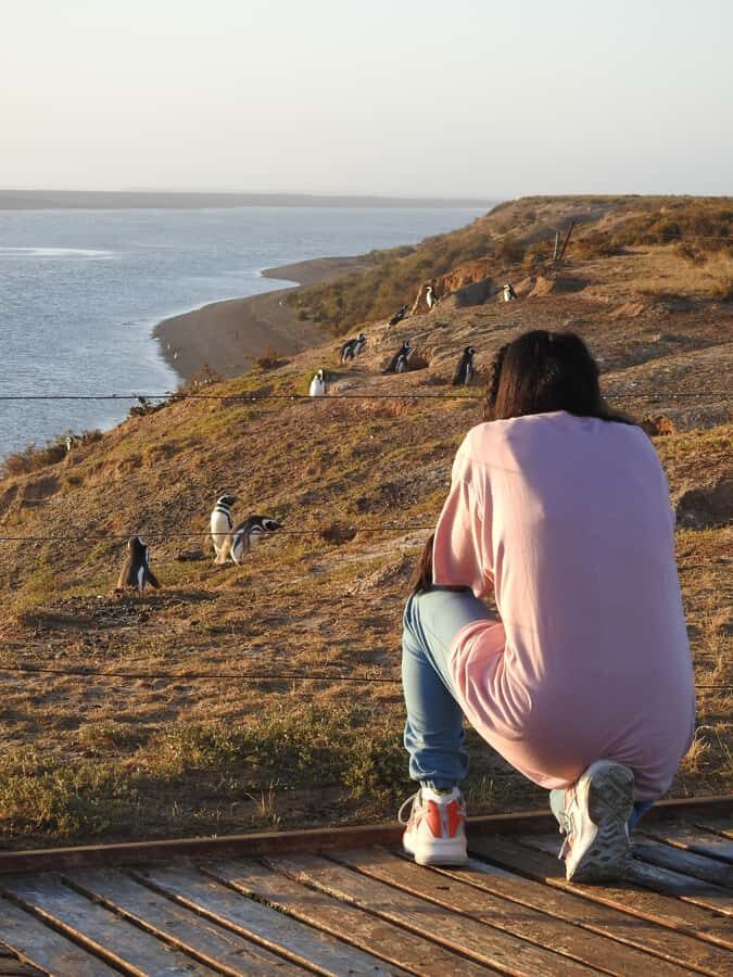 Shore Tours Peninsula Valdes Puerto Madryn Cruise Passengers - Whale watching as an option: when it can happen