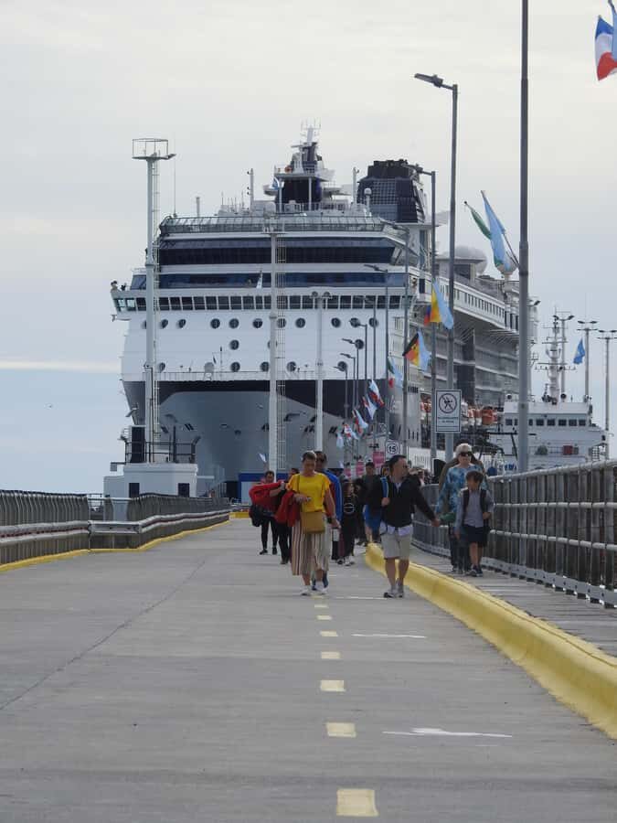 Shore Tours Peninsula Valdes Puerto Madryn Cruise Passengers - A local guide turns wildlife sightings into real learning