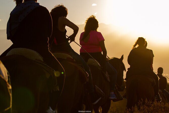 Sunset Horseback Riding - Before you ride: instruction, horse pairing, and safety focus