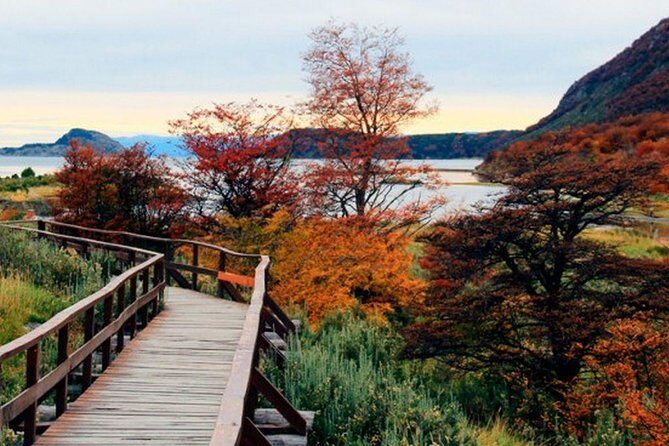 Tierra del Fuego National Park - Price, park admission, and what the day really costs