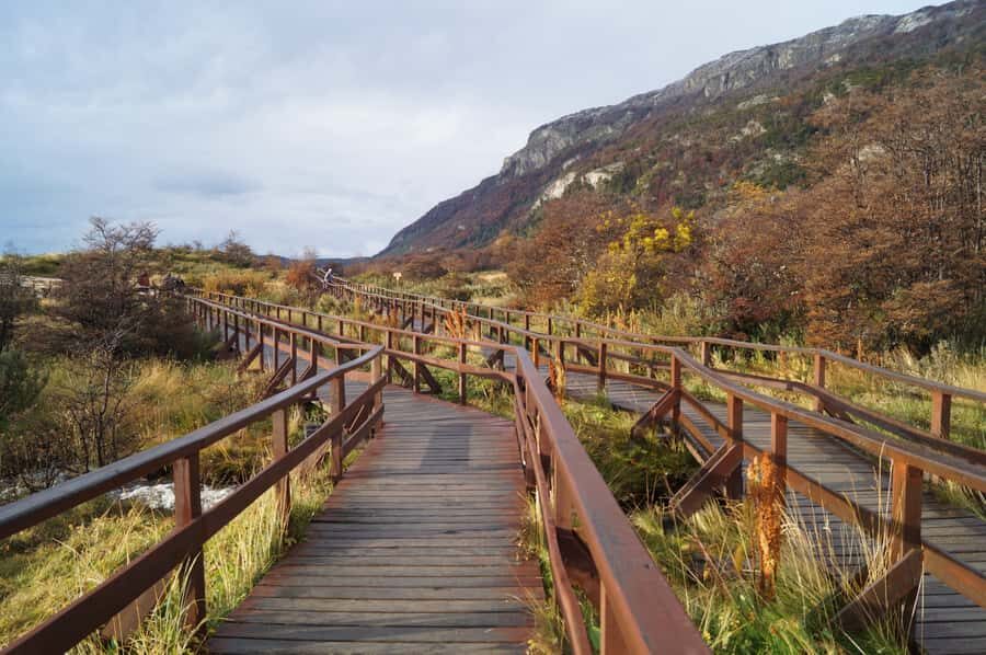 Tierra del Fuego National Park: Small Group Tour with Lunch - Short walks that still feel like nature: Laguna Verde, Río Ovando, and cormorants