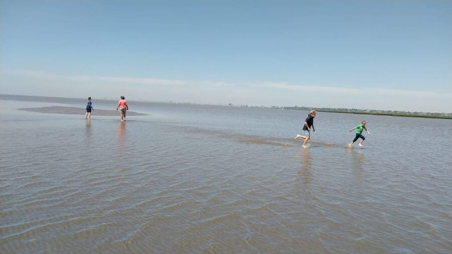 Tigre: Safari Náutico en Tigre/ Biosphere Reserve Boat Tour - Delta Terra photo and visit: when the boat time turns into walking-and-looking
