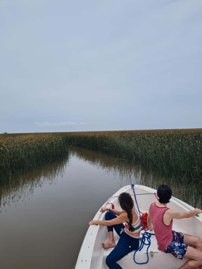 Tigre: Safari Náutico en Tigre/ Biosphere Reserve Boat Tour - Getting to the start point near Tigre Station