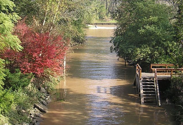 Tigre with Lunch overlooking the River and Navigation - Lunch on the Luján River: why the meal is the anchor of the day