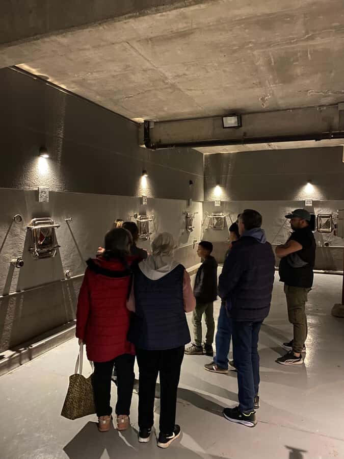 Tour of 3 wineries in Maipú with lunch + olive groves - Where this 7-hour winery loop fits in Mendoza
