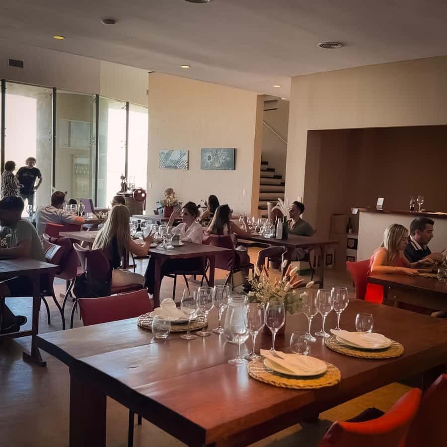 Tour of 3 wineries in Maipú with lunch + olive groves - Stop 1 in Maipú: guided tour + a full hour to taste