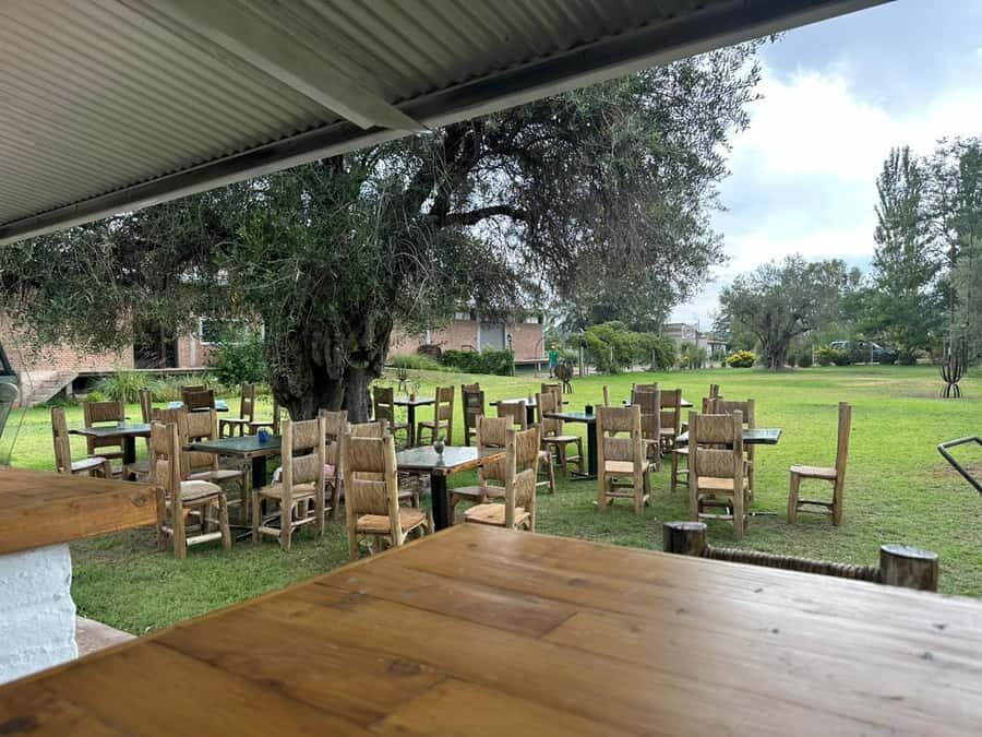Tour of 3 wineries in Maipú with lunch + olive groves - Stop 2: another 1-hour tasting that builds your palate