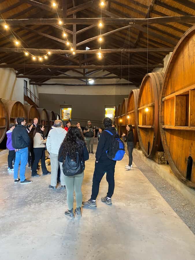 Tour of 3 wineries in Maipú with lunch + olive groves - What lunch paired with wines feels like in real life
