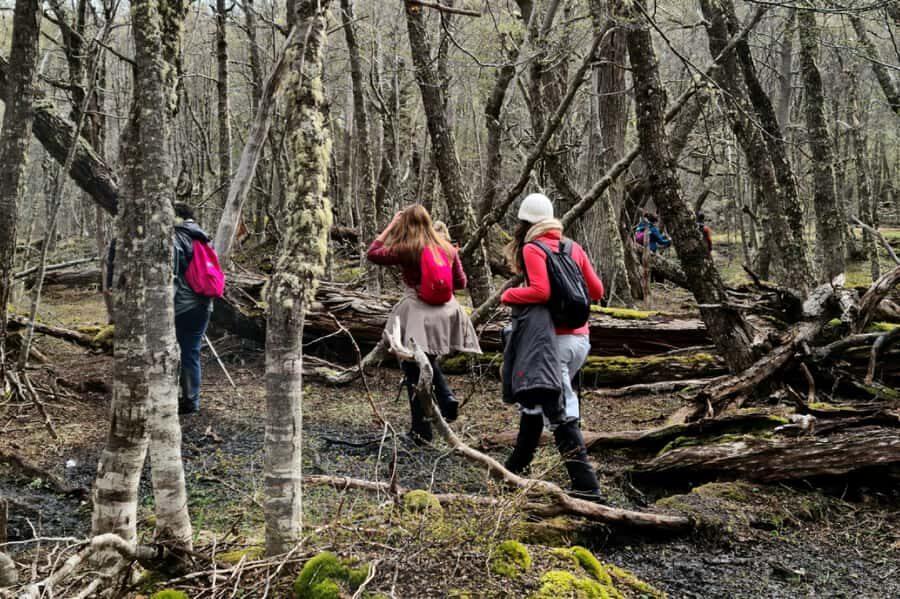 Trekking to Emerald Lagoon - How the tour keeps things safe and organized