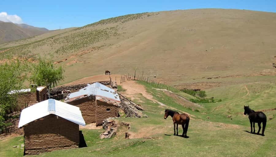 Tucumán: Tafí del Valle Full Day Tour - From Tucumán to Tafí del Valle: what you’re really getting