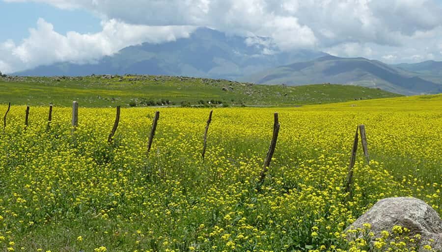 Tucumán: Tafí del Valle Full Day Tour - Cheese tasting, typical food, and shopping without the rush
